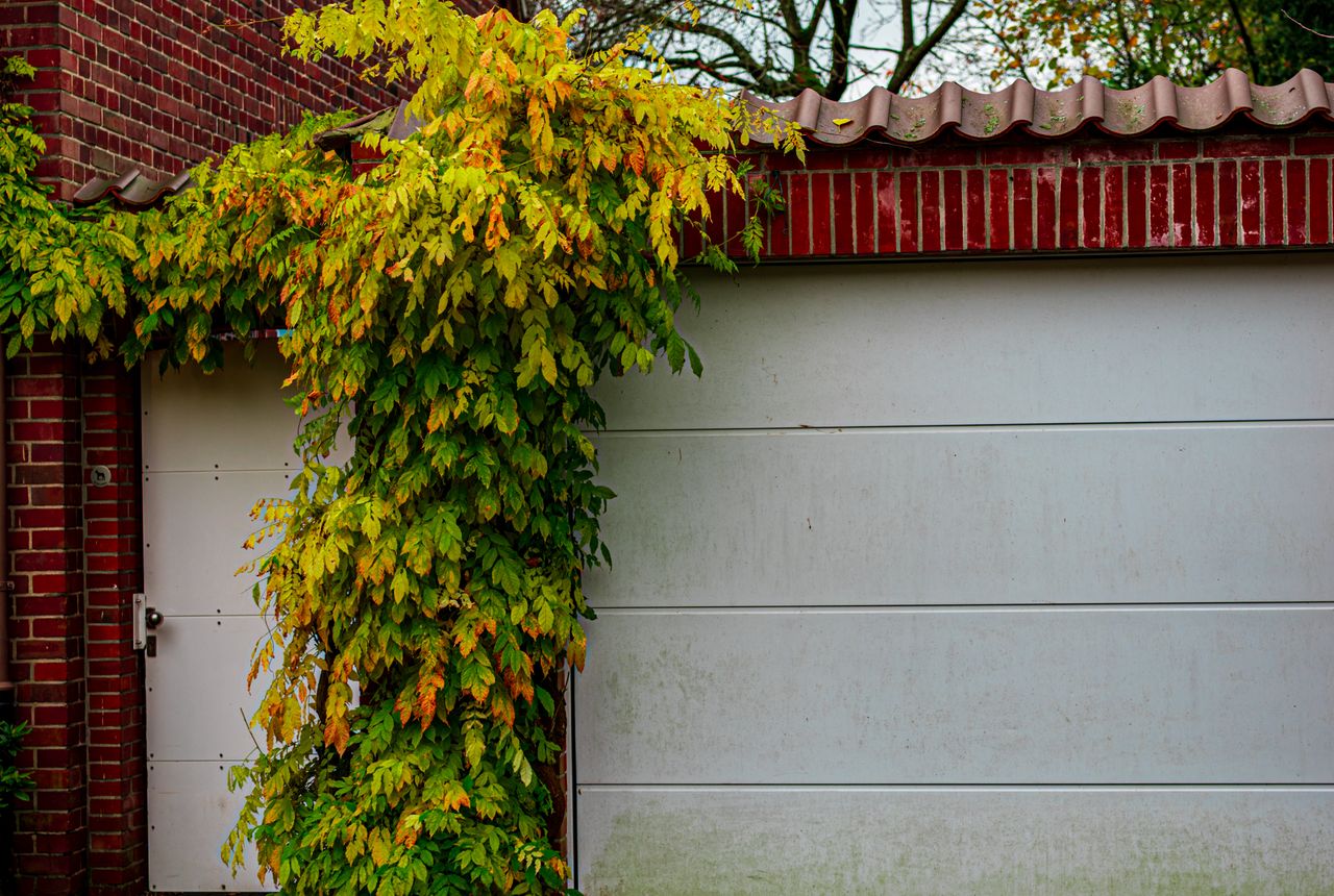 Garage door service in Lexington, KY